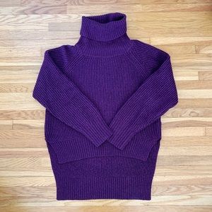 Aritzia (Wilfred Free) Lin Sweater